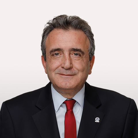Alper Kanca, Leader, Turkish Automotive Project - Germany